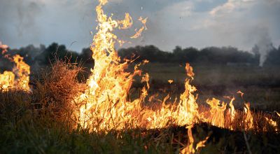 fire-steppe-grass-is-burning-destroying-everything-its-path